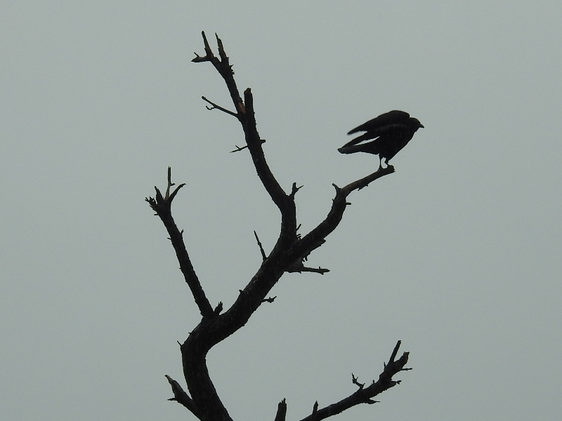 �ϥ��ܥ����饹