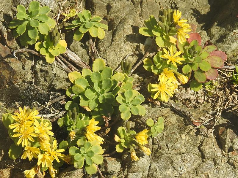 �����ȥ���