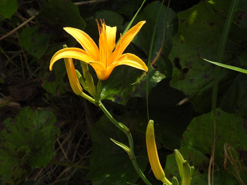 �ϥޥ��󥾥�