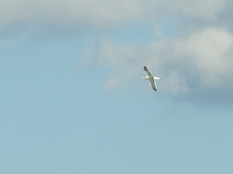 ���������������