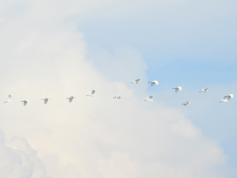 ���奦����