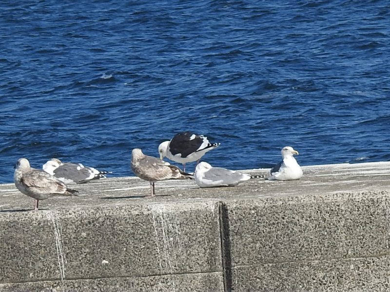 ���������������