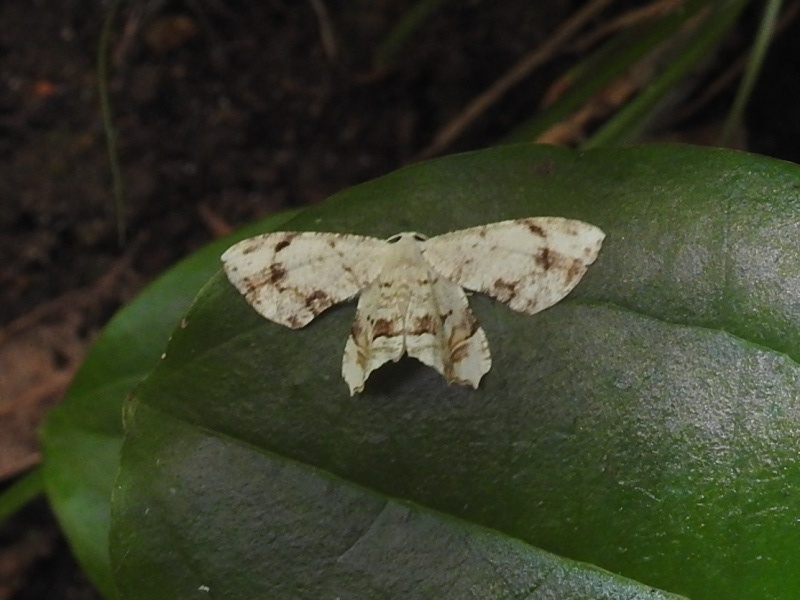 �����������ե���