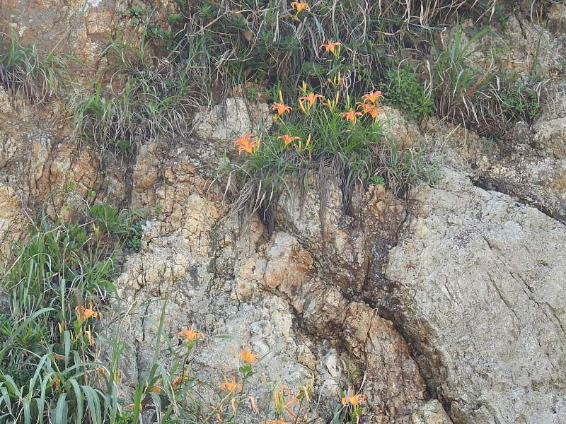 �ϥޥ��󥾥�