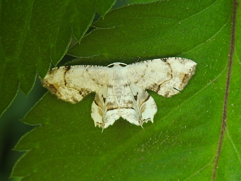 �����������ե���