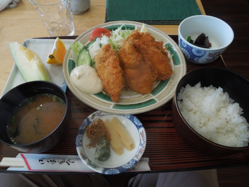 �����ե饤�꿩