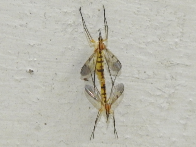 �ϥ���������