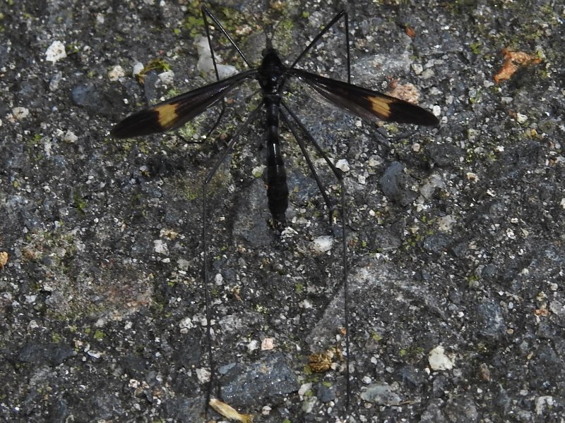 �����ۥ��������