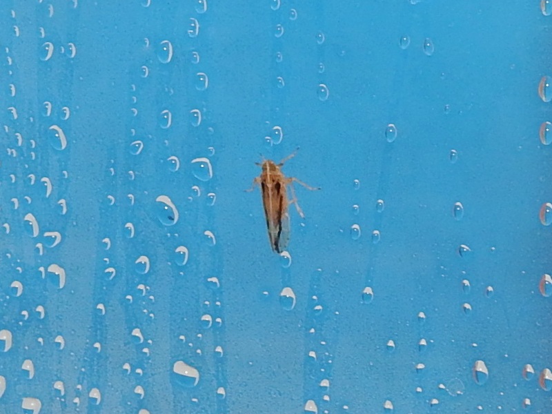 �����ʥ�����