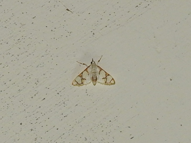 ��������ݥ����Υᥤ��