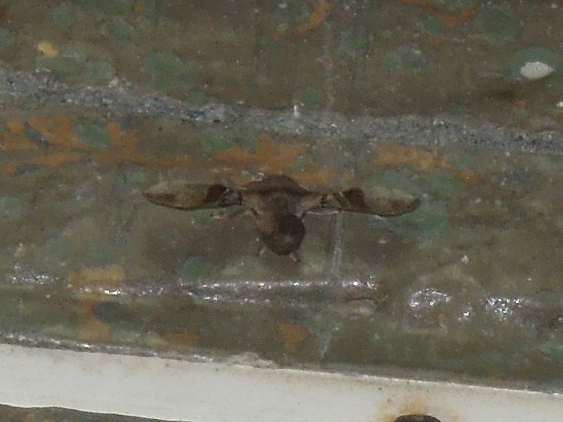 ��������������