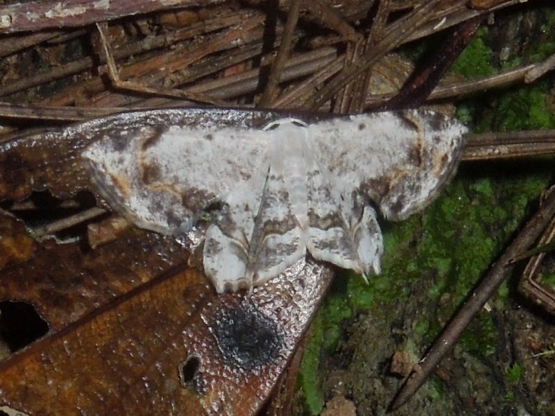 �����������ե���