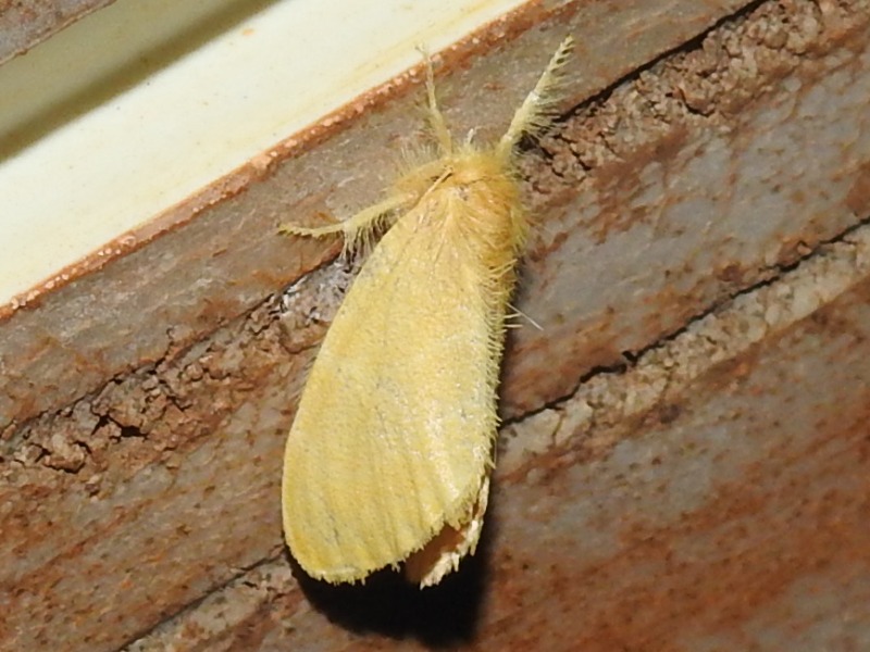 ������󥭥ɥ��� 