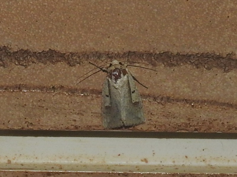 �桼������������ȥ�