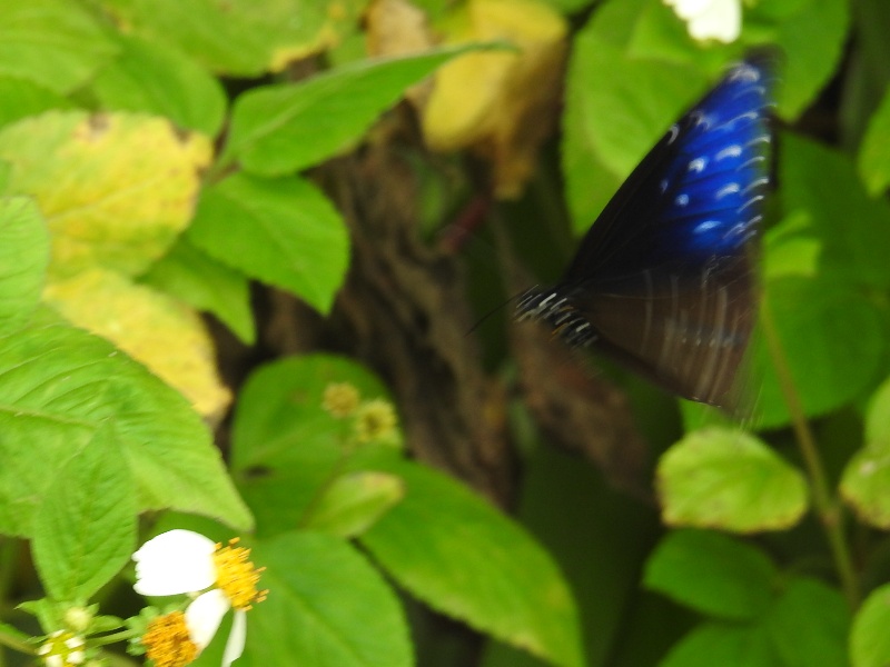 �ĥޥ�饵���ޥ���