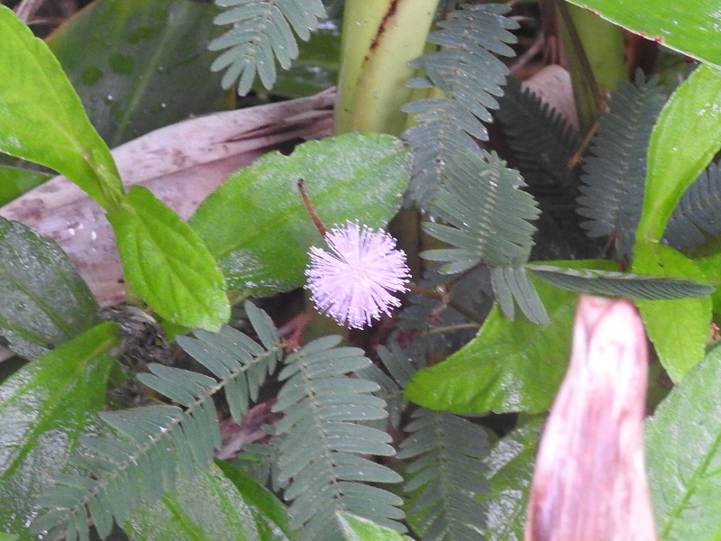 ������������ͥ�