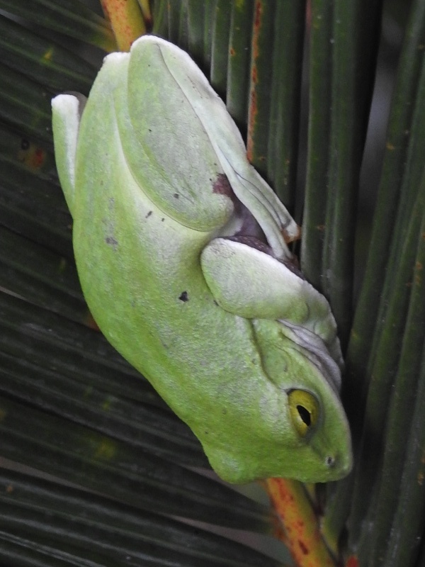 ���ޥߥ���������