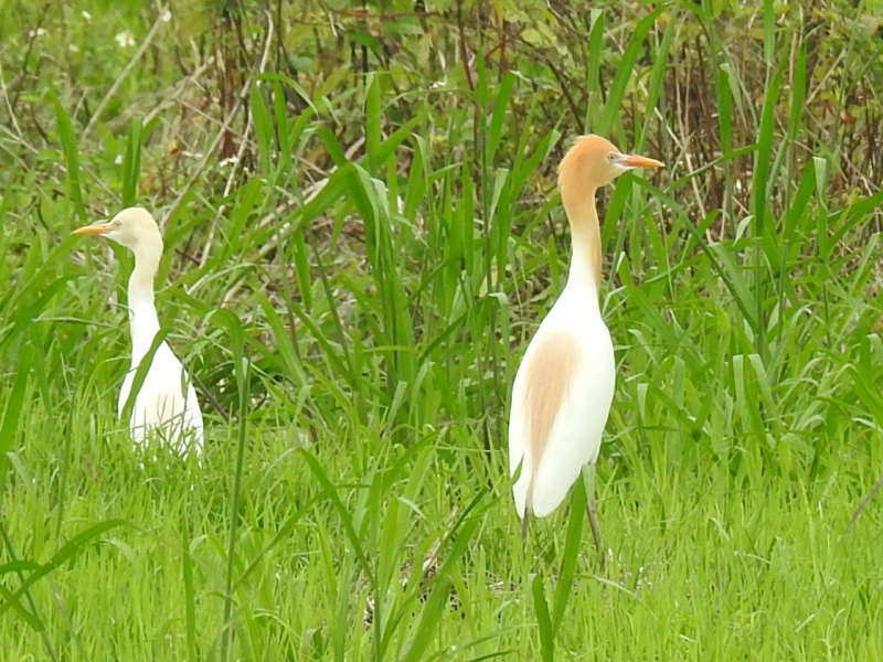 ���ޥ���