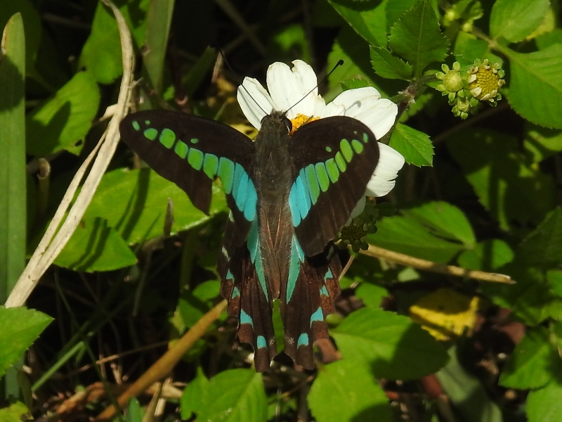 ��������������