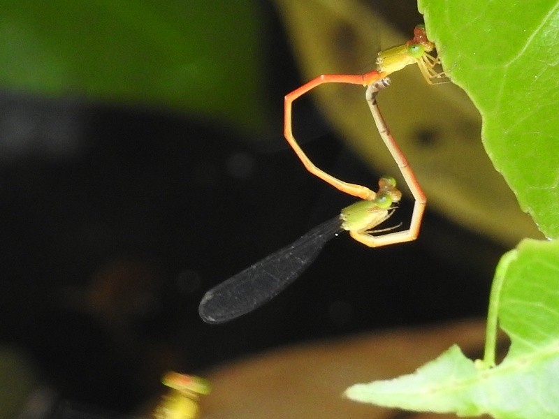 ��奦���奦�٥˥��ȥȥ��