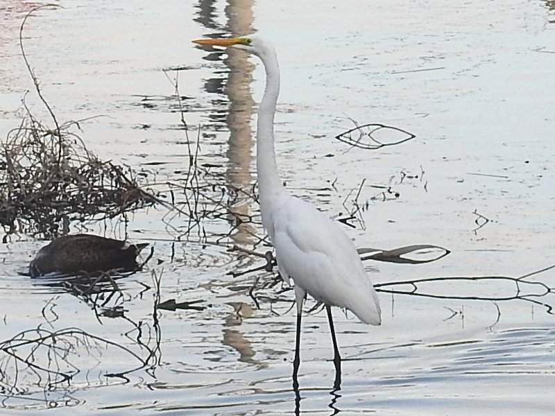 ���奦����