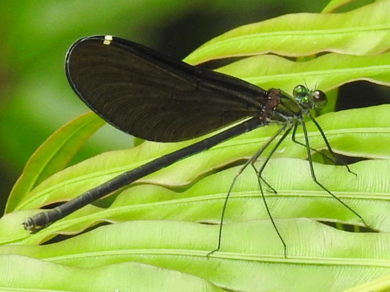 ��奦���奦�ϥ����ȥ��