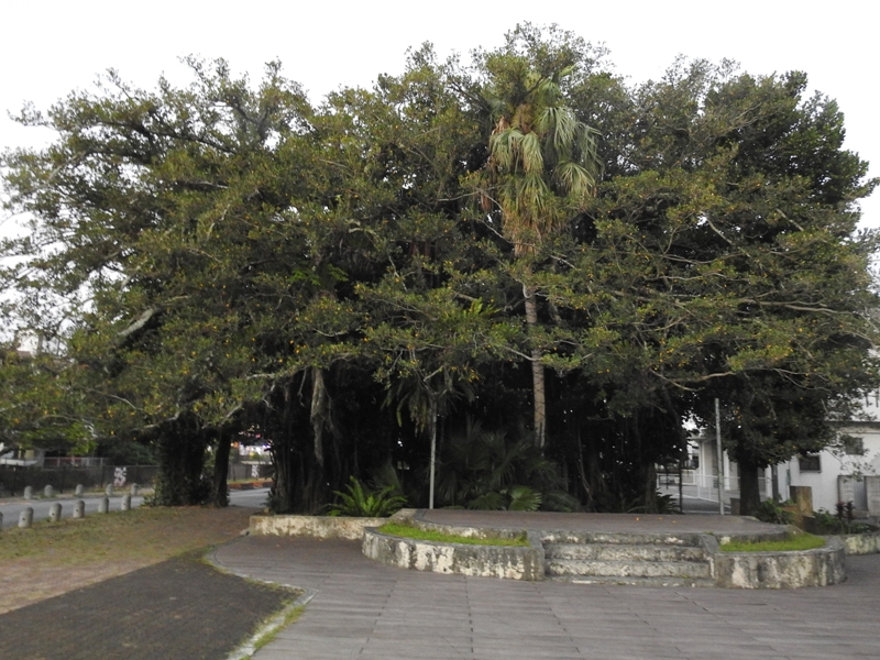 ������ޥ�