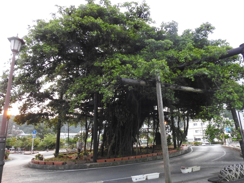 ������ޥ�