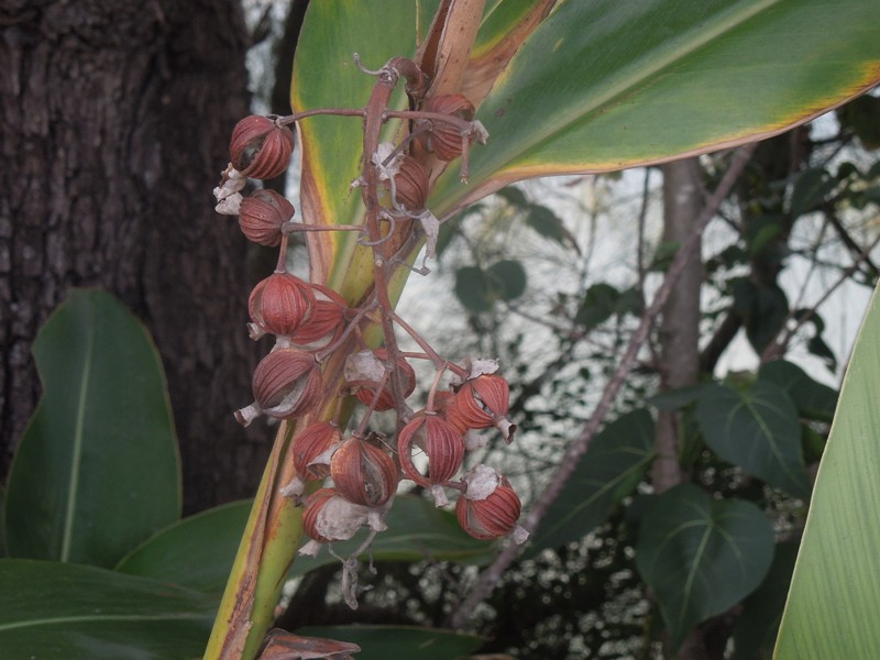 ���åȥ�����