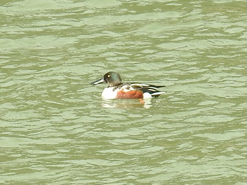 �ϥ��ӥ�����