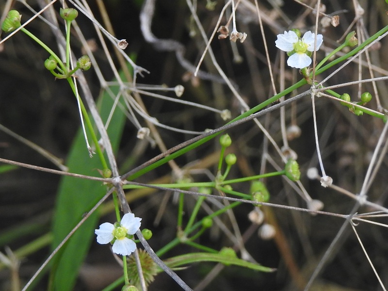 �إ饪�����