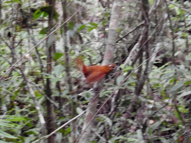 �ۥ�ȥ������ҥ�