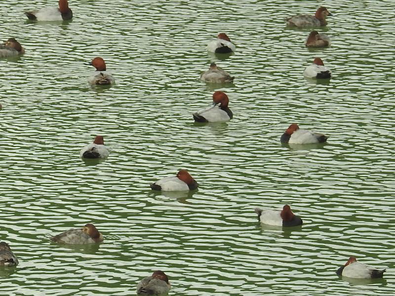 �ۥ��ϥ���