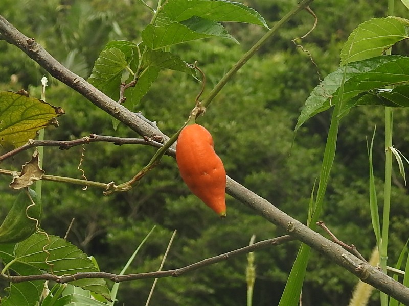 �����饹����