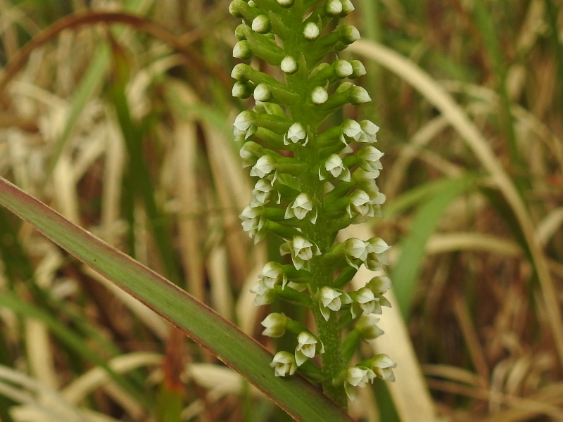 ���󥮥󥽥�