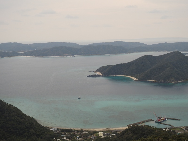 ̴����������