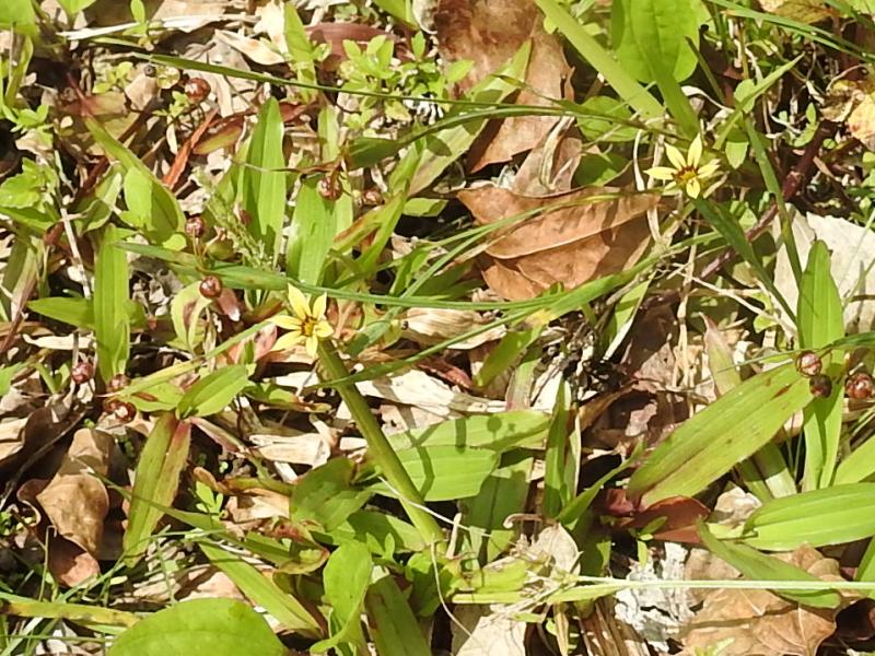 ���Хʥ˥良�����祦