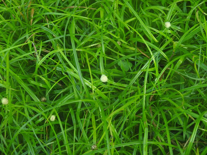 �����ҥ᥯��