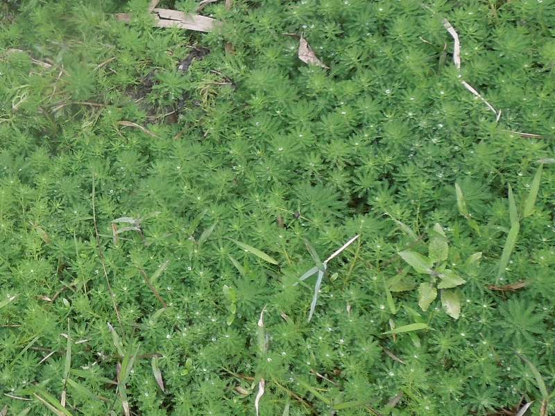 �����ե���