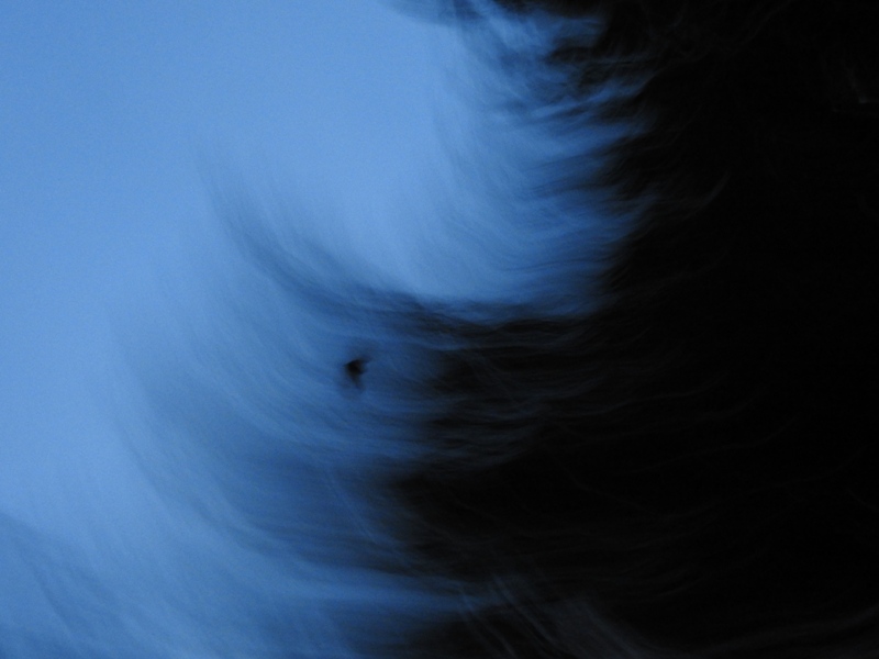 ���ꥤ�����������