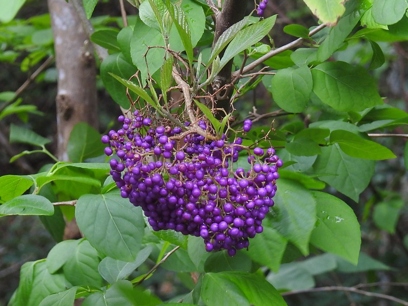 ������饵��������