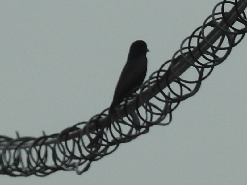 �������奦