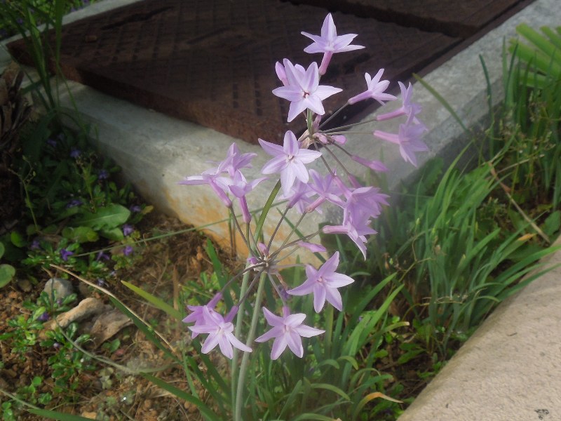 ���ե��⥸