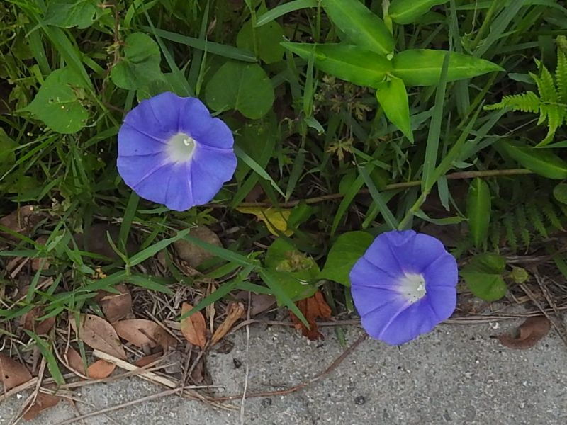 ��奦���奦��������