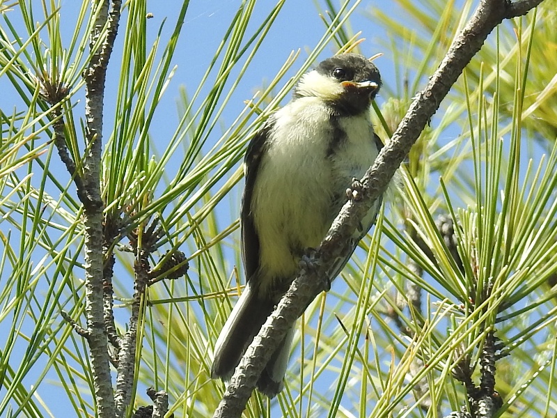 �����ʥ亮���奦����