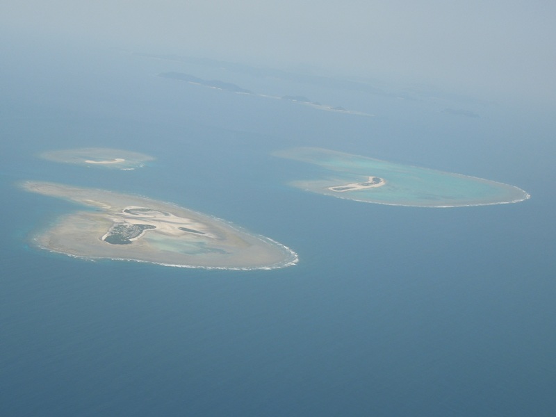 �����ӥ�����