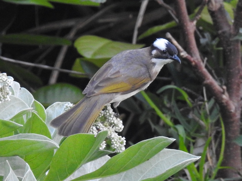 ����������