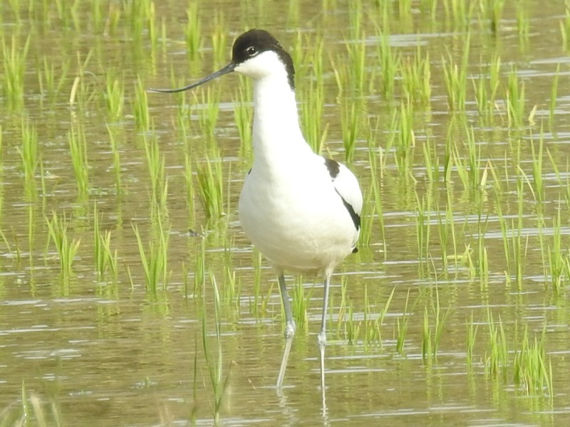 ����ϥ�������������