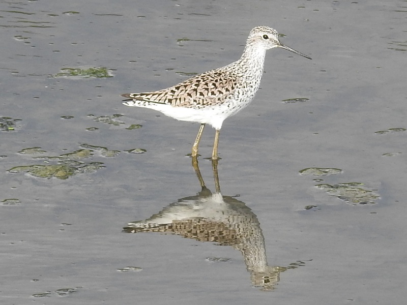 �����֥���