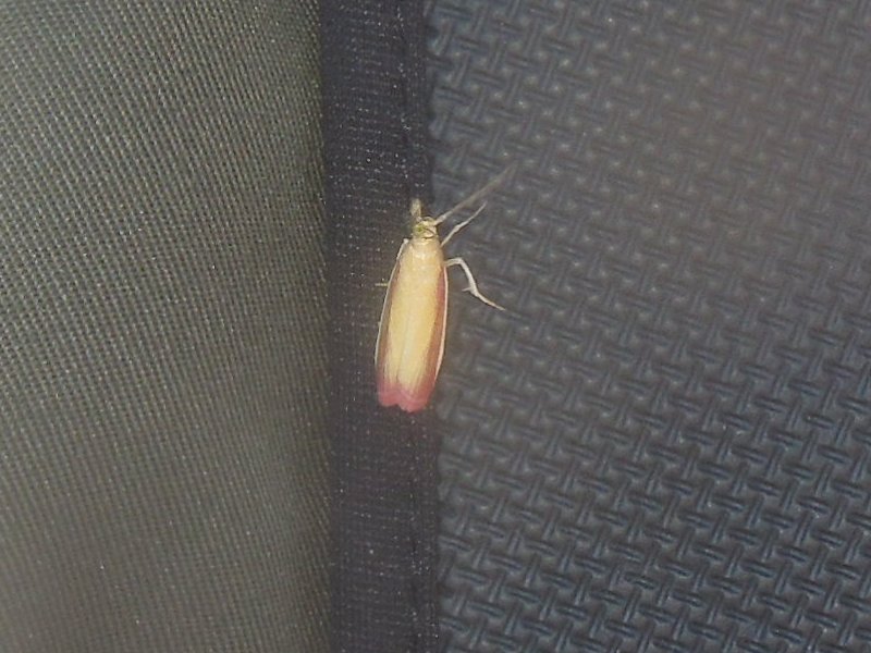 �����ޥ���ᥤ��